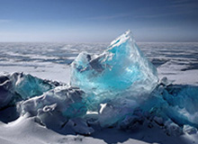 中国台北队止步八强 媒体点评球队经验不及2013黄金一代